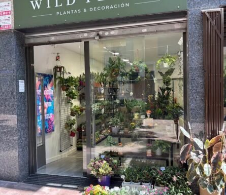 Wild Plants