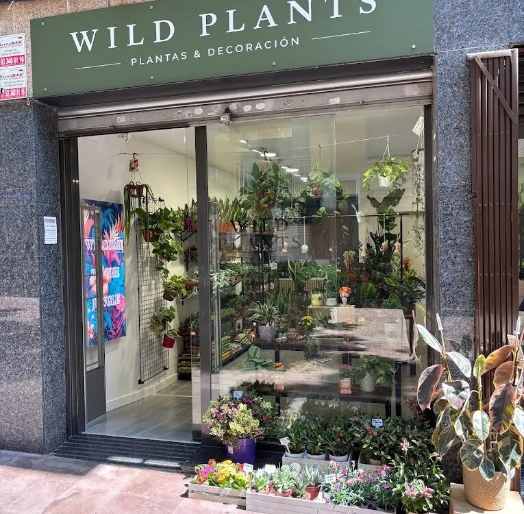 Façana de la botiga de plantes Wild Plants al carrer del Doctor Reig de Viladecans
